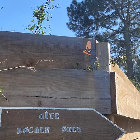 فيلا Escale Sous Les Pins ساليس المظهر الخارجي الصورة